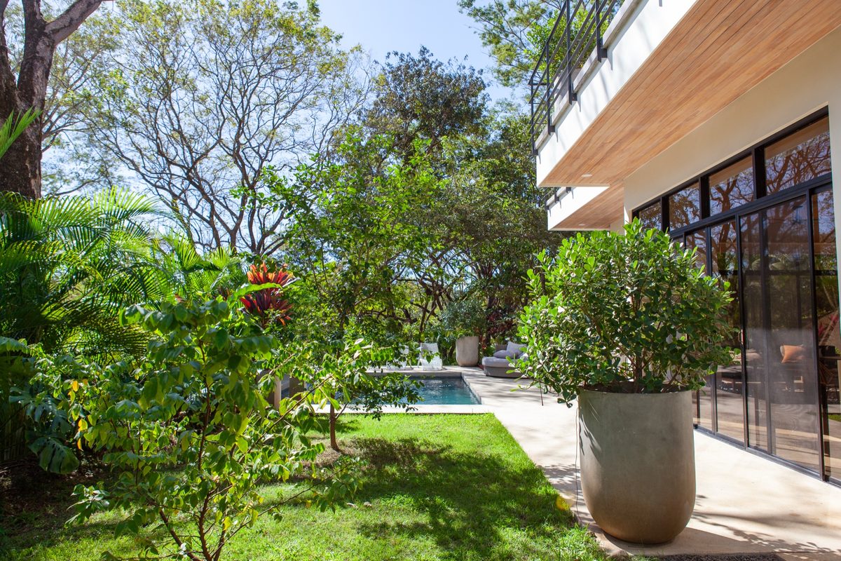 Villa One - tropical garden