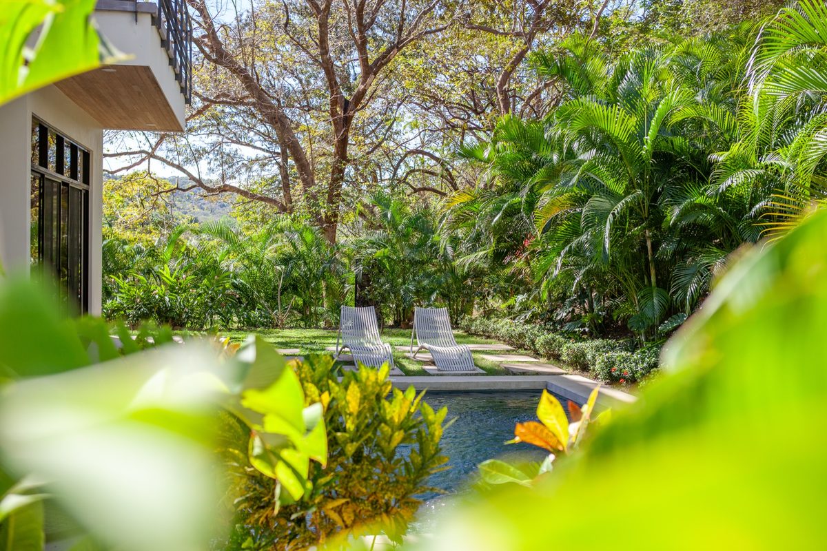 Villa One - pool through the garden