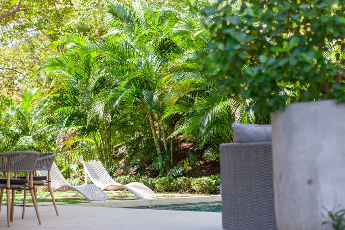 Villa Two - tropical garden