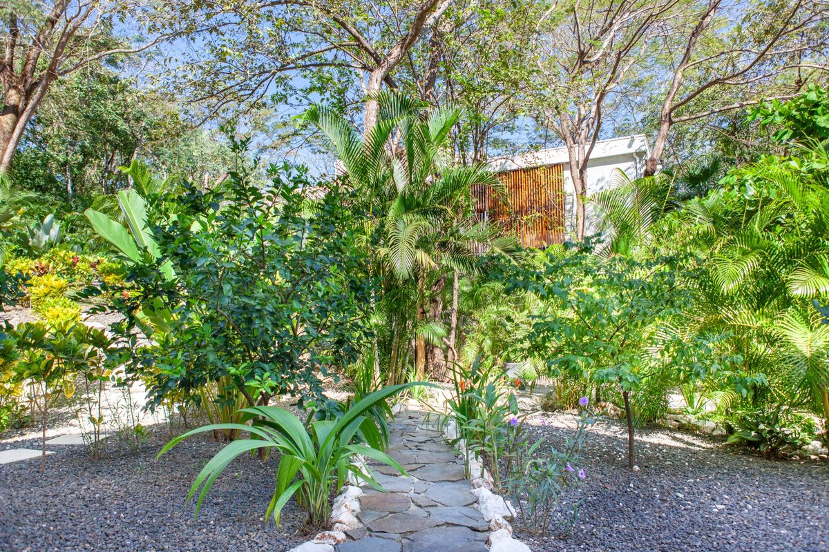 Villa Two - garden path